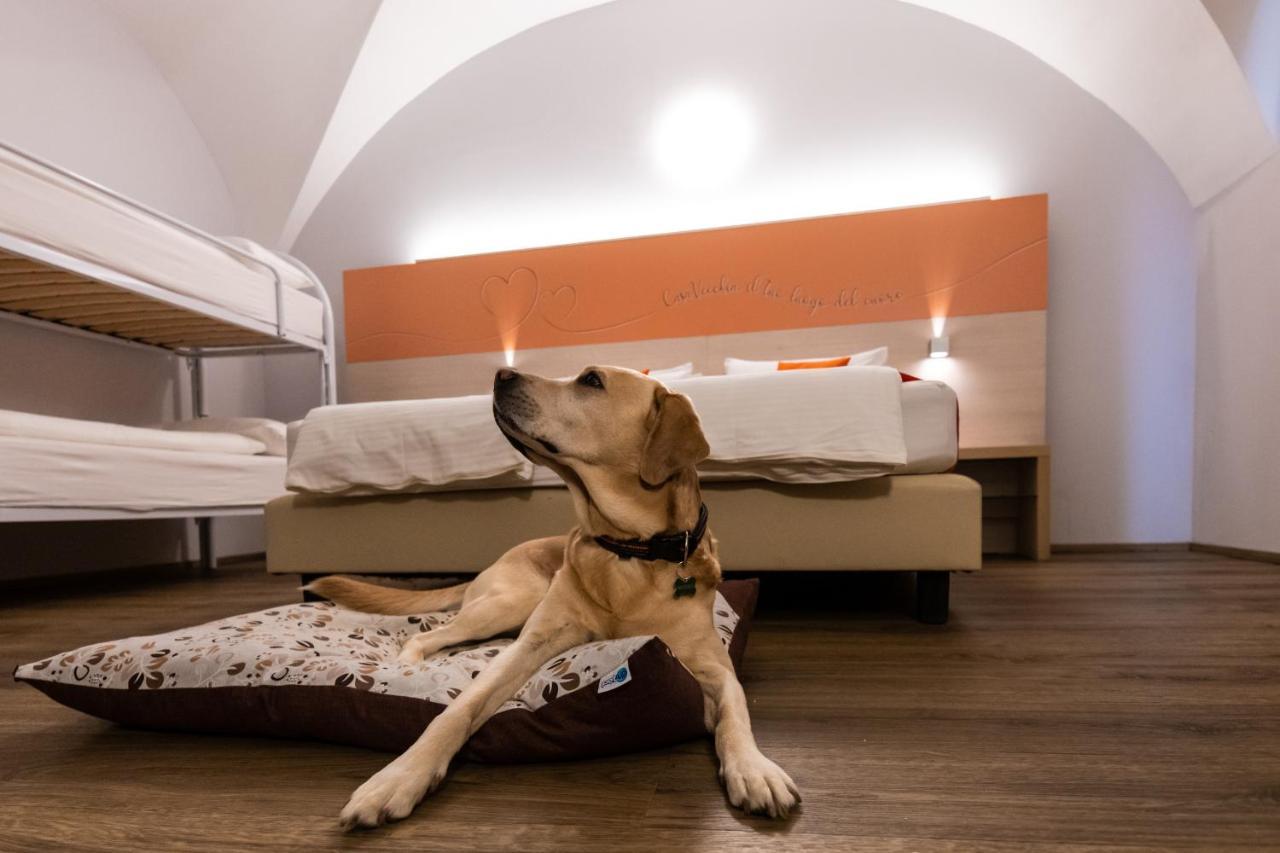 Albergo Casavecchia Tiarno di Sopra Ngoại thất bức ảnh